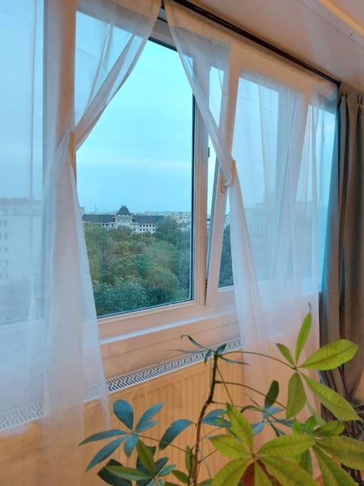 Apartment Sweet Dreams Cismigiu Bucharest